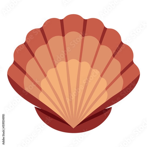 Single raw scallop, pristine and ready for cooking, resting on a plain white surface.