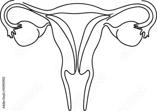 Simple black and white line drawing of human uterus diagram