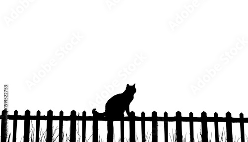 silhouette of a cat resting quietly on a rustic garden fence with grass – peaceful outdoor scene for halloween or design use