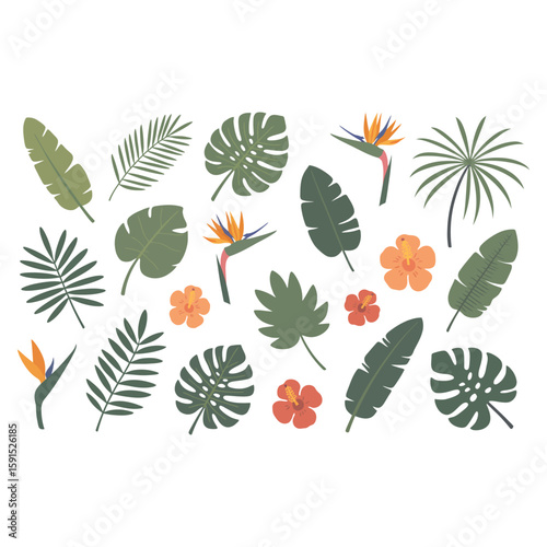 Tropical Foliage and Flowers Arrangement on White Background