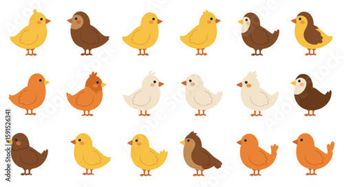 Set of 15 Flat Icons of Farm and Pet Birds on White Background