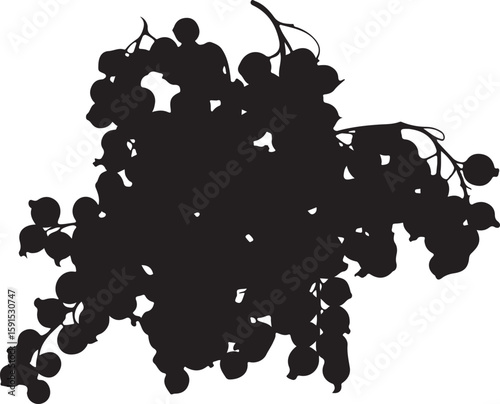 Black silhouette of a cluster of berries on a branch berry fruit