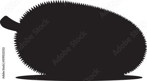 Black silhouette of a spiky fruit with a stem on a white background vector