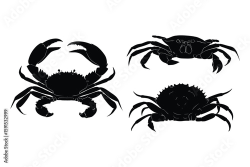 silhouette set of tropical crabs in motion