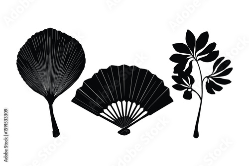 silhouette set of decorative tropical leaves and fans