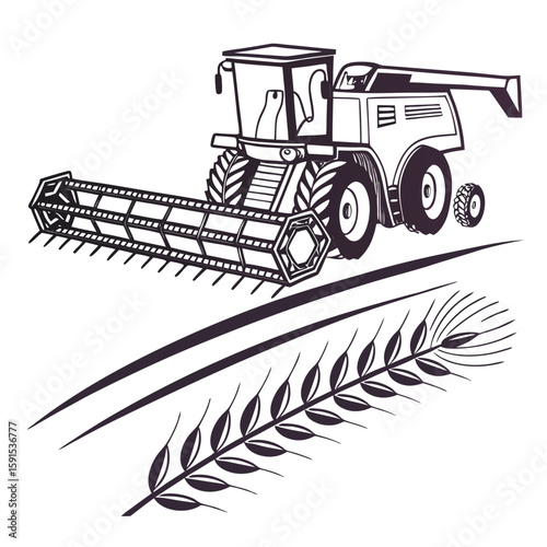 Combine harvester gathering wheat crop agricultural machine