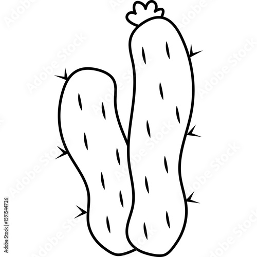 Cactus Outline
