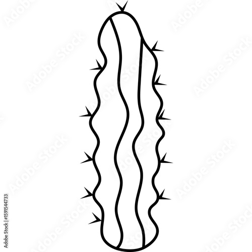 Cactus Outline
