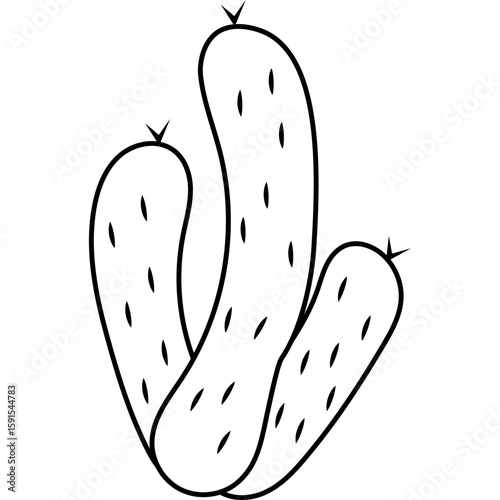 Cactus Outline

