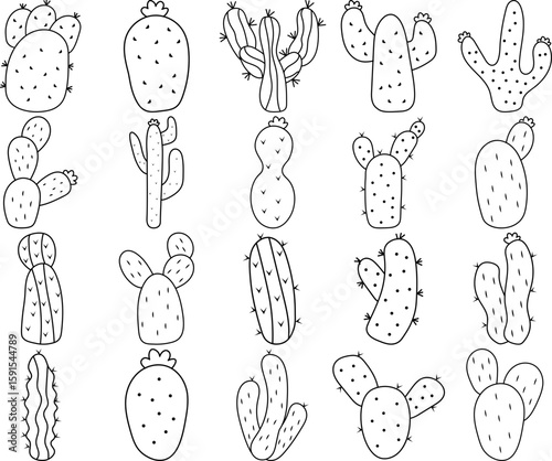 Cactus Outline
