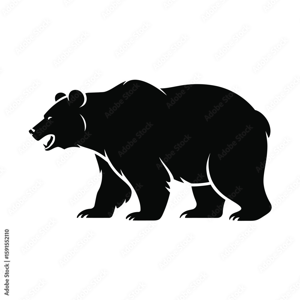 Obraz premium Silhouette of a fierce grizzly bear walking with its mouth open and teeth bared