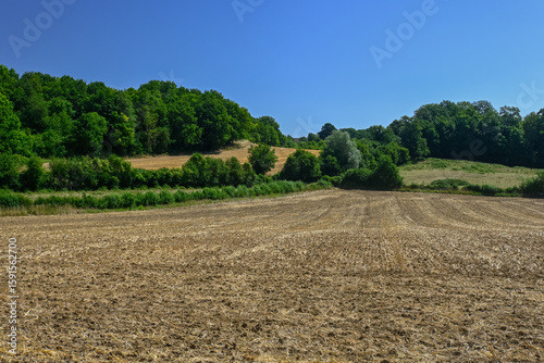 Mown farmland on a hillside, surrounded by green forests, under a clear blue sky. Location: Northern France.