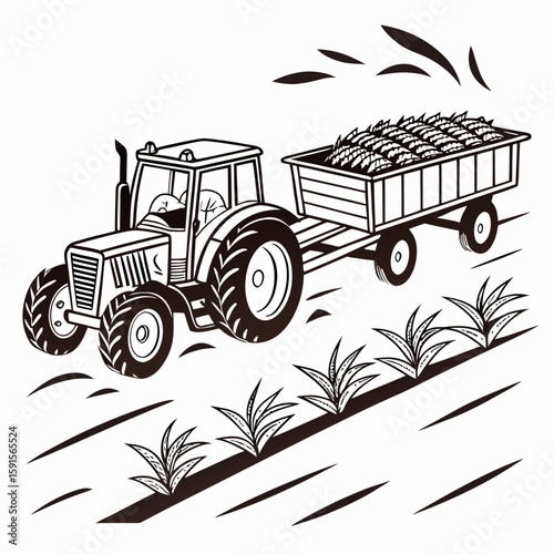 Tractor hauling crops in a field trailer farm