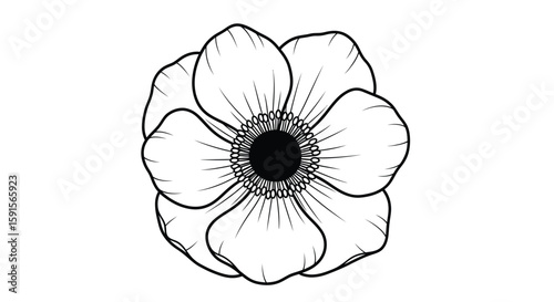 Detailed Anemone Flower with Round Center and Petals Relaxing Adult Coloring Page Design