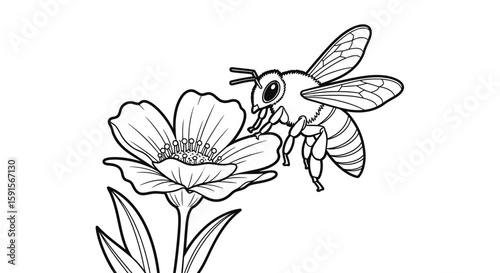 Delicate Bee Hovering Near Flower Spring Relaxing Adult Coloring Page Design