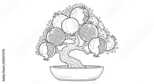 Pomegranate Bonsai Tree with Fruit Cracks Adult Coloring Page Unique Botanical Art
