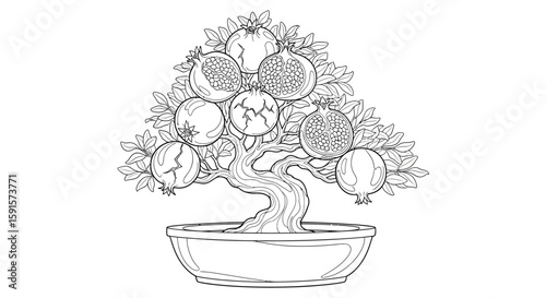 Pomegranate Bonsai Tree with Fruit Cracks Detailed Adult Coloring Horticultural Design