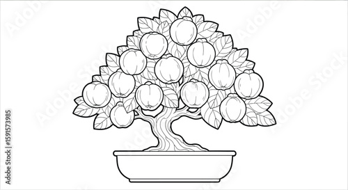 Quince Bonsai Tree Balanced Fruit Distribution Adult Coloring Page Botanical Art