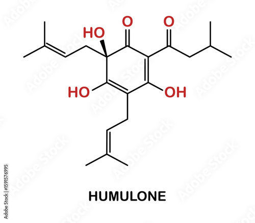 Chemical structure of humulone compound.
