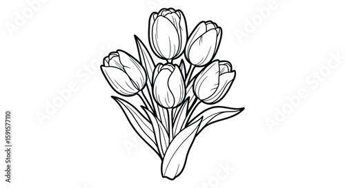 Cheerful Tulip Flower Bunch Spring Adult Coloring Page Vibrant Seasonal Bloom