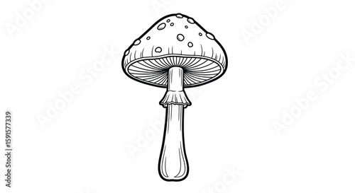Woodland Mushroom Autumn Coloring Page for Adults Forest Nature Discovery
