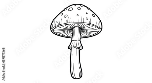 Earthy Woodland Mushroom Autumn Adult Coloring Page Forest Floor Serenity