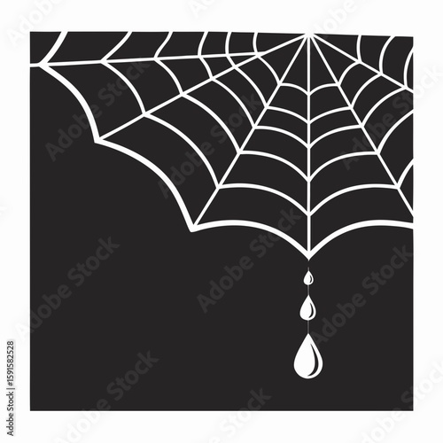 White spider web with water droplets against a black background