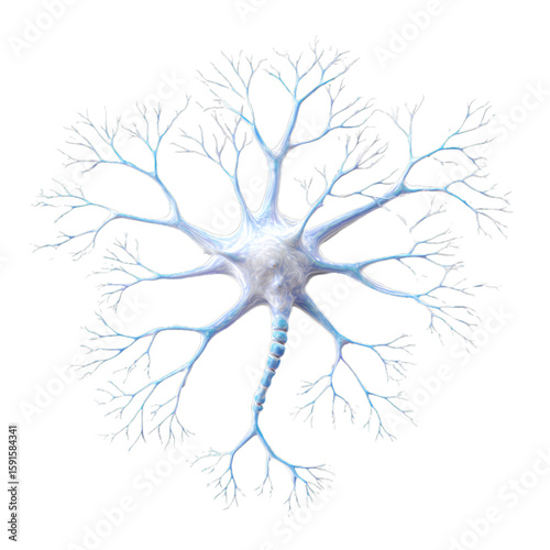 Neuron icon with dendrites and axon. Isolated white background. Png format
