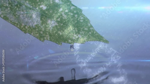 Particle swirl initiating droplet falling from leaf tip, creating splash, ripples animating water