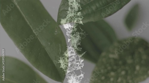 Network appearing at leaf base causing mesh growing upward changing color wrapping it for overlay