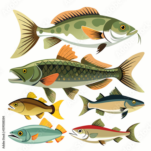 Diverse assortment of fish species with unique scales and coloration, suitable for marine life designs and angling themes.