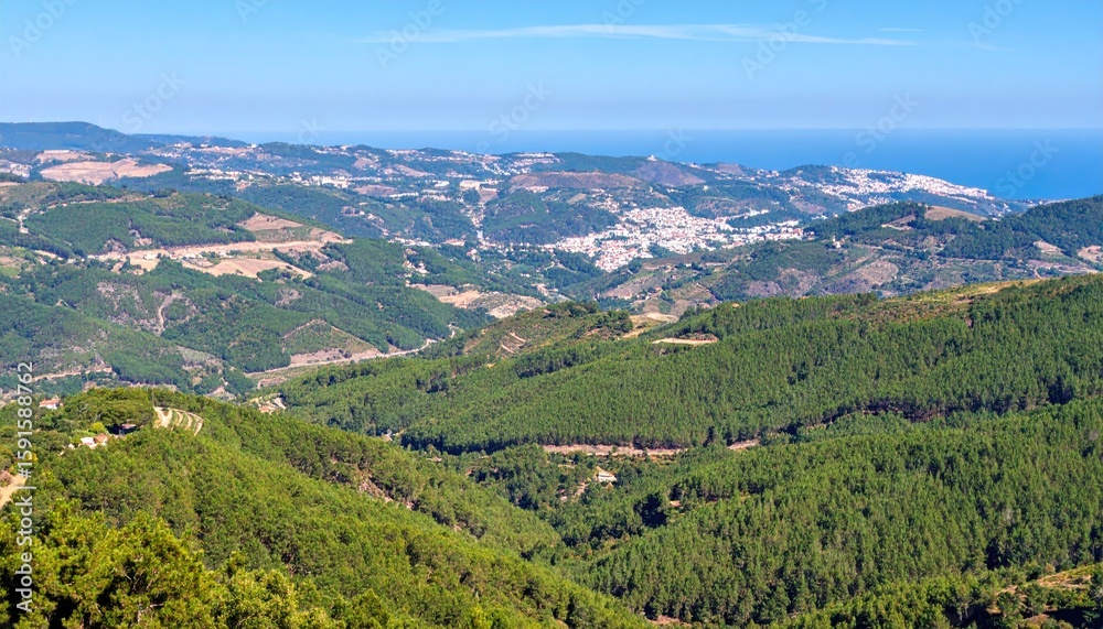 Obraz premium Panoramic view of a valley nestled between forested hills