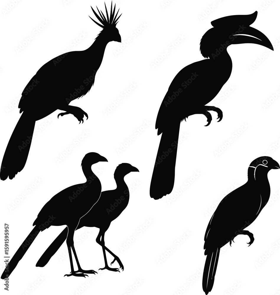 Fototapeta premium Vector art of exotic birds are silhouetted on a white background