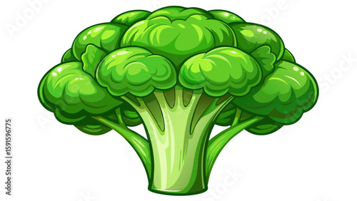 Bright green broccoli floret sits upright on white background. Bumpy crown and crisp stalk look fresh and organic, making this a perfect candidate for healthy cooking and farming-style vector design.