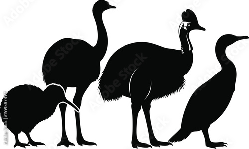 Vector art of silhouetted flightless birds isolated on white background