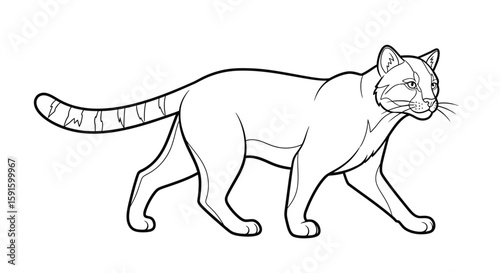 Majestic Jungle Cat Walking Pose Adult Coloring Page Wildlife Nature Exploration