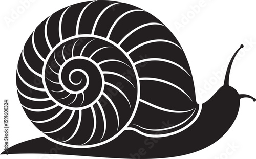 Vector illustration of a detailed black snail in side view with a swirling shell