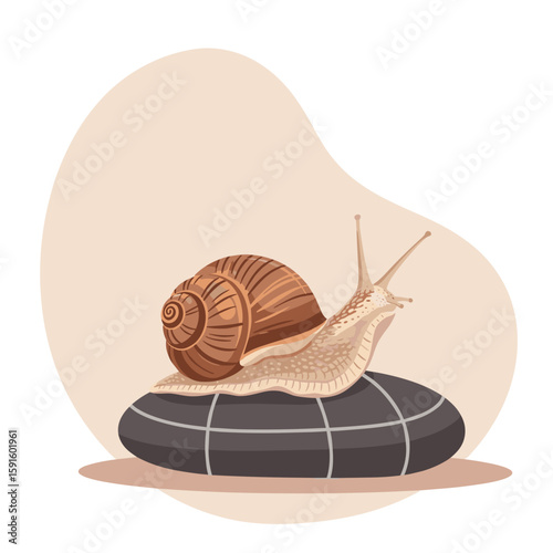 Snail resting on a rock with a soft background