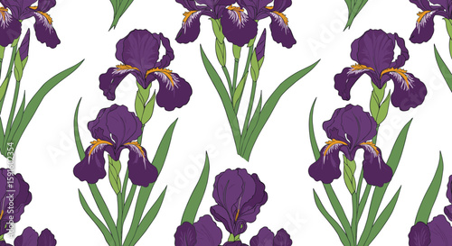 Seamless pattern of purple iris flowers with green leaves on white background