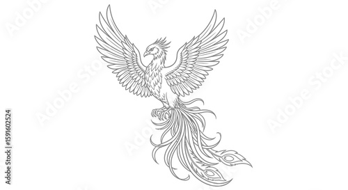 Majestic Phoenix Mid Flight Adult Coloring Page Mythical Bird Legend Artistry