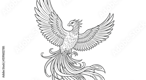 Phoenix in Mid Flight Majestic Bird Coloring Page for Adults Mythical Creature Art