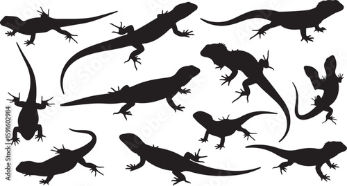 Vector art of a collection of black lizard silhouettes in various poses