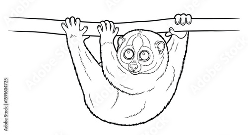 Slow Loris Hanging from Branch Intricate Animal Coloring Page for Adults Relaxation Art