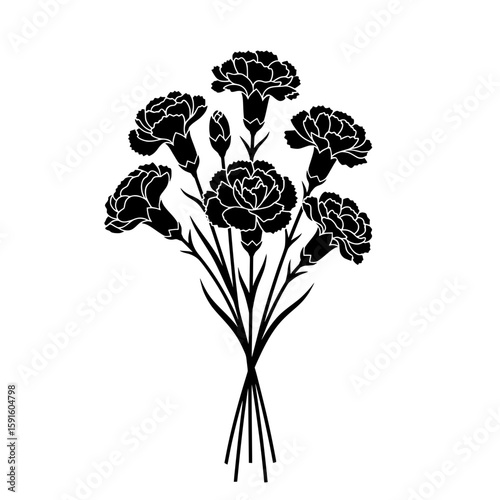 bouquet of carnations