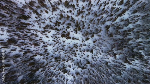 Inyo Sierra Nevada National Forest birdseye view deep powder snow trees backcountry Mammoth Mountain ski resort California Hemlocks Ritter Range Main Lodge Minarets Summit Vista winter spring upwards