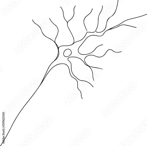 Minimalist line drawing of neuron structure on white background