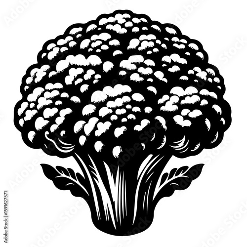 A detailed black and white illustration of a whole cauliflower with its leaves, presented in a stylized, graphic manner