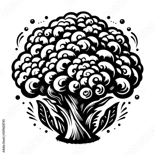A detailed black and white illustration of a fresh cauliflower with leaves and radiating lines