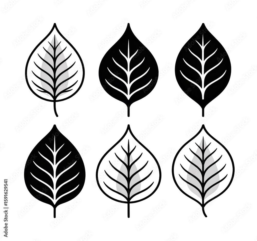 Obraz premium set of leaves isolated on a transparent background.