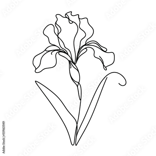 Line drawing of an iris flower with elegant petals and leaves  